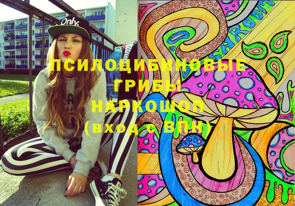 ПСИЛОЦИБИНОВЫЕ ГРИБЫ Беломорск