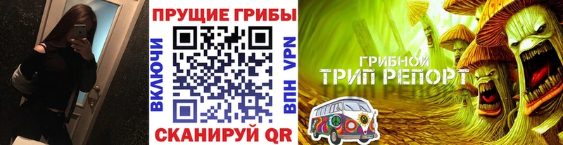 Галлюциногенные грибы MAGIC MUSHROOMS  Купить закладки  Можга 